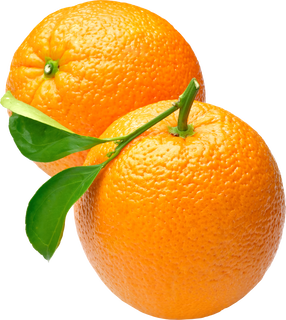 Healthy Orange (Grafted) - Fruit Plants & Tree,CF_N81-500 gm